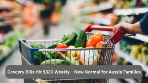 Grocery Bills Hit $320 Weekly – New Normal for Aussie Families